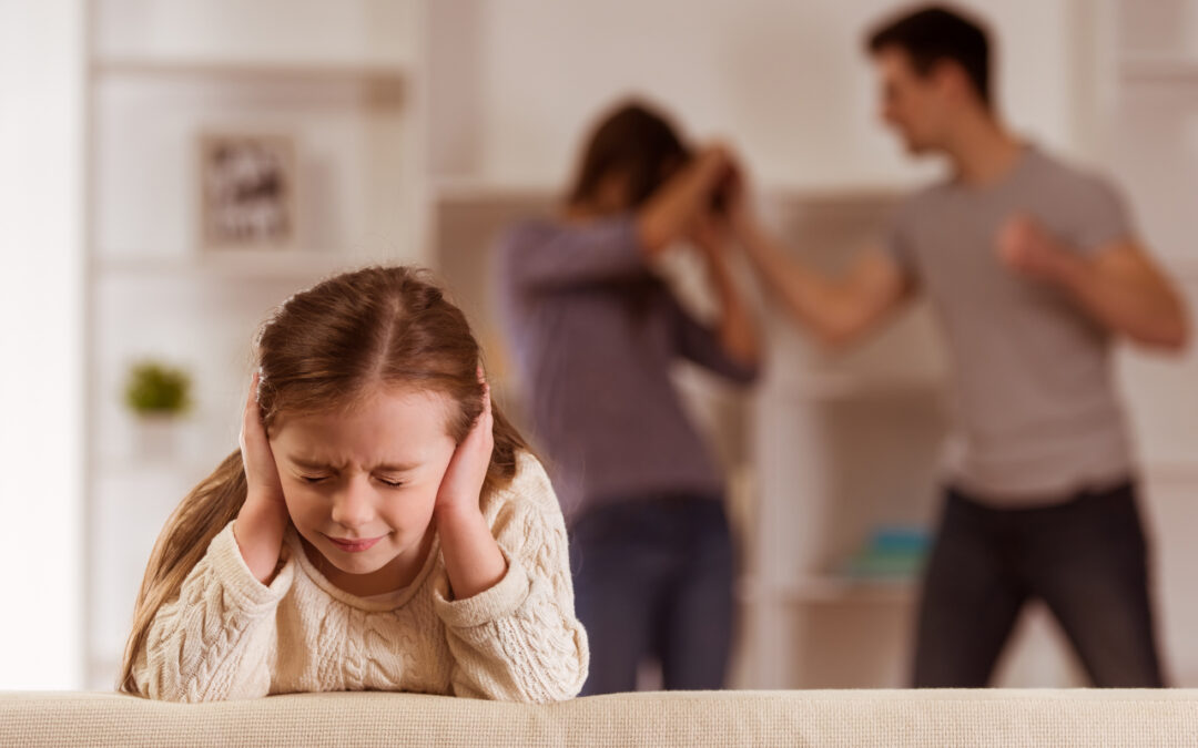 maltrattamenti in famiglia, violenza domestica